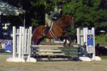 Modified Adult Equitation