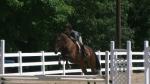 Ally D'Amico Pre Children's Equitation