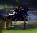 Junior Equitation-Longo