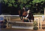 Modified Equitation-Lydon