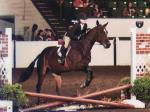 Short Stirrup - SRoy