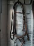 Cob Bridle