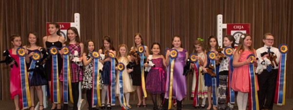 Walk Trot Equitation