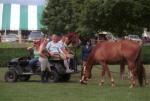 2006 CHJA Medal Finals