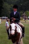 2006 CHJA Medal Finals