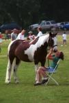 2006 CHJA Medal Finals
