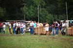 2006 CHJA Medal Finals