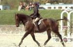 Tara Lynch and Hudson