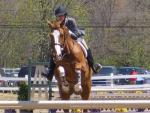 Erin Klemyk and Drake