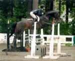 Devon Poeta and Sir Thomas